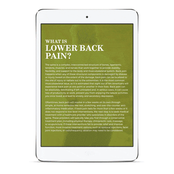 PCWFL-Guide-To-Back-Pain