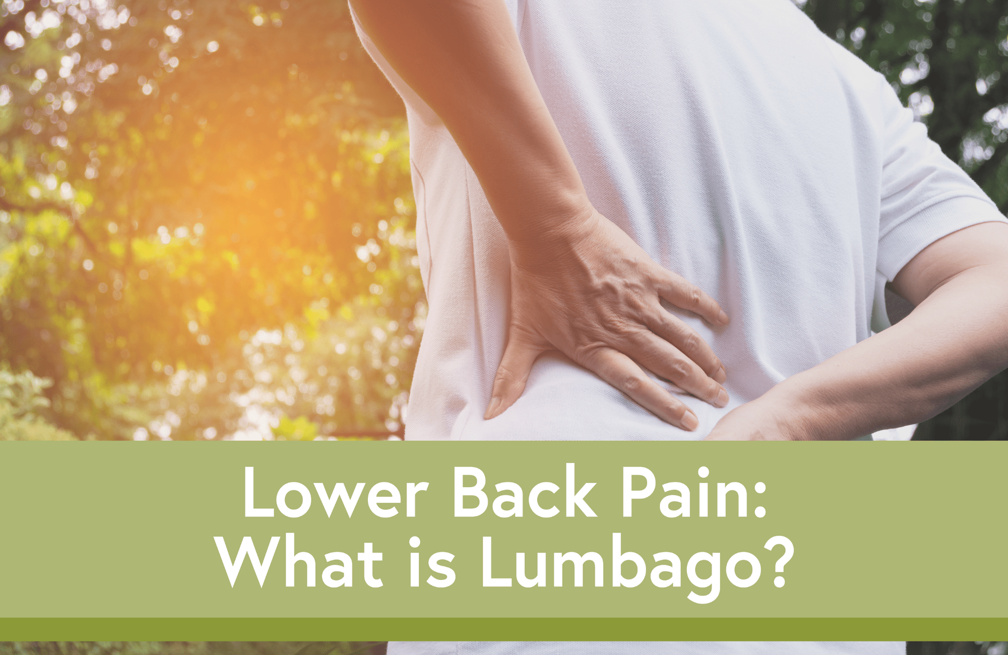 lower-back-pain-what-is-lumbago-pain-consultants-of-west-florida